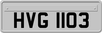 HVG1103
