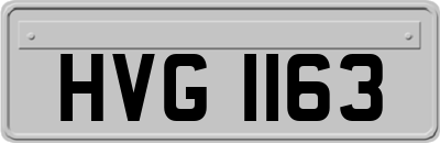 HVG1163