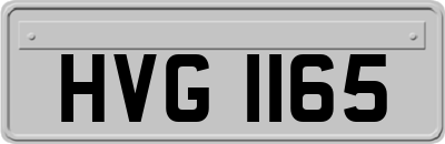 HVG1165