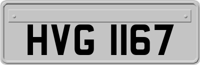 HVG1167