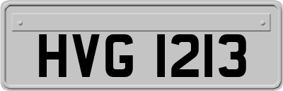 HVG1213