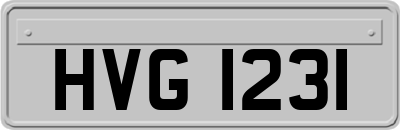 HVG1231