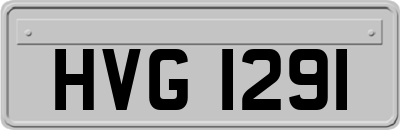 HVG1291