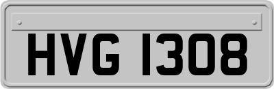 HVG1308