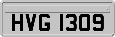 HVG1309