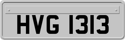 HVG1313