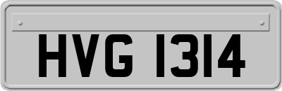 HVG1314