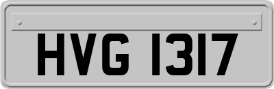 HVG1317