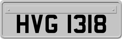 HVG1318