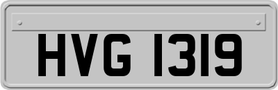HVG1319