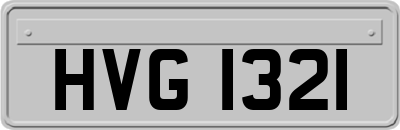 HVG1321