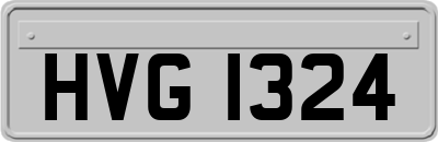 HVG1324