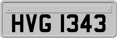 HVG1343