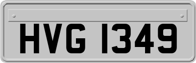 HVG1349