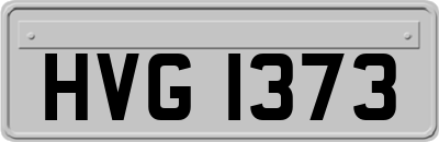 HVG1373