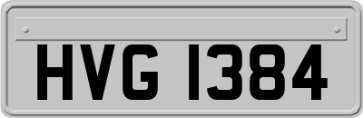 HVG1384
