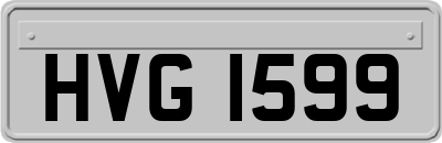 HVG1599