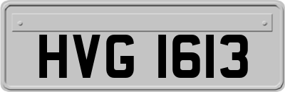 HVG1613