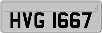HVG1667