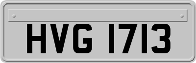 HVG1713