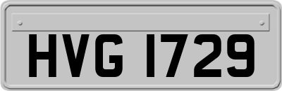 HVG1729