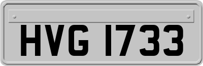 HVG1733