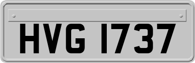 HVG1737