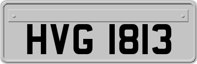 HVG1813