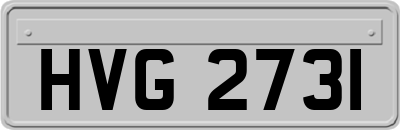 HVG2731