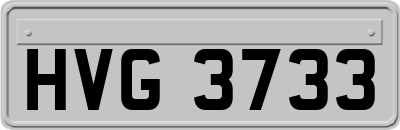 HVG3733