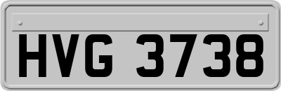 HVG3738
