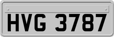HVG3787