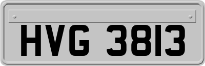 HVG3813