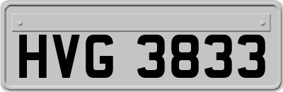 HVG3833