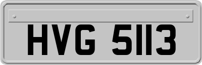 HVG5113