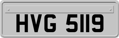 HVG5119