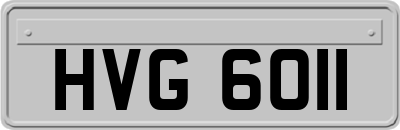 HVG6011