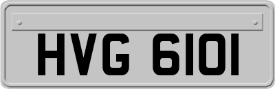 HVG6101