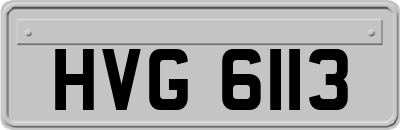 HVG6113