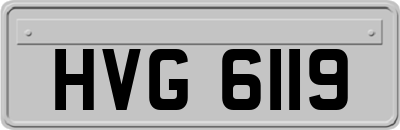 HVG6119
