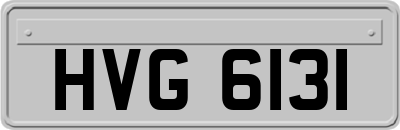 HVG6131