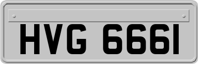 HVG6661