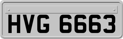 HVG6663