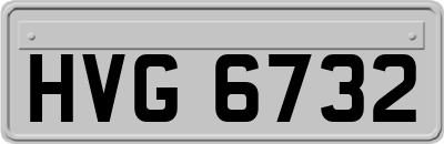 HVG6732