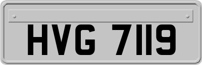 HVG7119