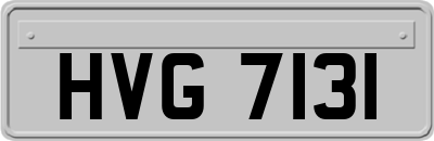 HVG7131