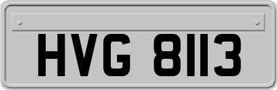 HVG8113