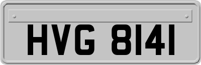HVG8141