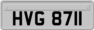 HVG8711