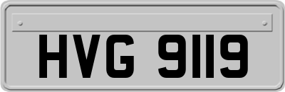 HVG9119